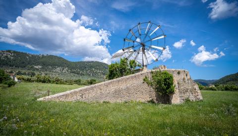 mancomunitat raiguer